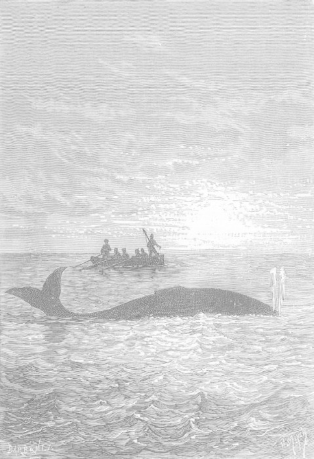 Schwarze und weiße Illustration eines Buckelwals, der im Meer schwimmt, mit einem Boot im Hintergrund, das mit Menschen gefüllt ist und unten den Titel "Buckelwal von William Hogarth" trägt.