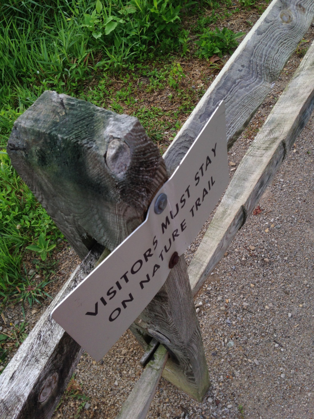 Holzzaun mit einem Schild, auf dem "Besucher bleiben auf dem Naturweg" steht, in saftig grünem Gras mit kleinen Steinen auf dem Boden.