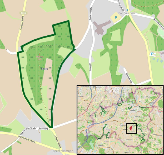 Eine detaillierte Stadtkarte, die einen zentralen Grünbereich als geplanten Baustandort hervorhebt, mit umliegenden Straßen, Gebäuden und Sehenswürdigkeiten.