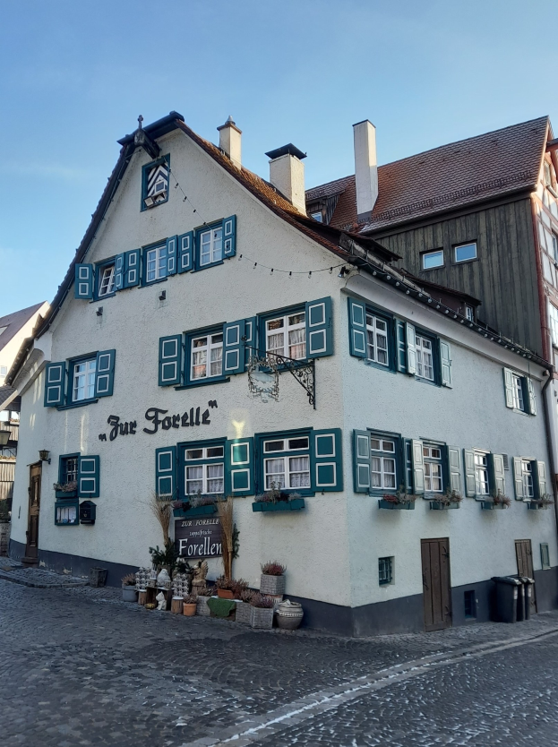 Weißes Gebäude mit grünen Fensterläden, ein Namensschild und Topfpflanzen auf einem Kopfsteinpflasterweg, als Forelle Inn in Nürnberg, Deutschland, mit dem Himmel im Hintergrund gekennzeichnet.