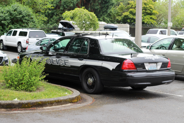 Polizeiauto auf einem Parkplatz mit anderen Fahrzeugen umgeben von Gras, Pflanzen, Bäumen und einem Maschendrahtzaun.