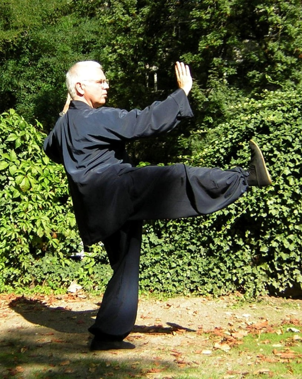 Ein Mann in einem schwarzen Anzug übt Karate in einem Park oder Garten, mit Gras, trockenen Blättern und Bäumen im Hintergrund.