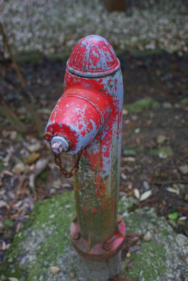 Ein Nahaufnahme-Bild einer Wasserleitung.