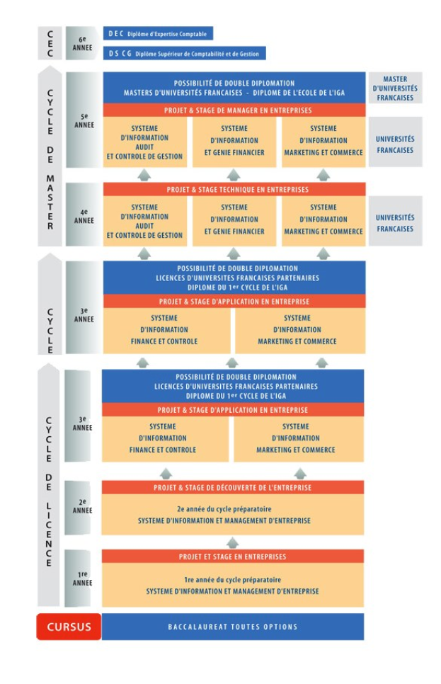 Diagramm, das die organisatorische Struktur eines Unternehmens mit interconnected boxes darstellt, die verschiedene Phasen des Unternehmenswachstums und der Entwicklung repräsentieren, begleitet von Text, der Rollen und Verantwortlichkeiten beschreibt.