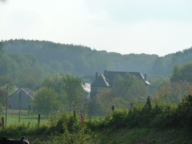 Ein Pferd grast vor einem Bauernhof, umgeben von Pflanzen, Gras, Pfählen, Drähten und Häusern, mit Bäumen und einem klaren blauen Himmel im Hintergrund.