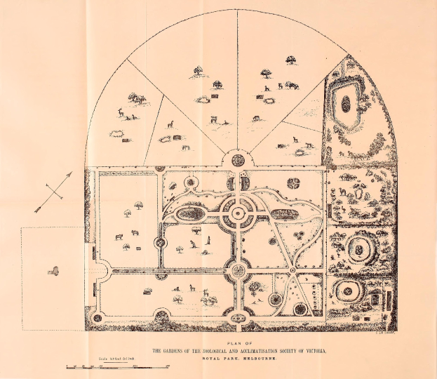 Schwarz-weißer Plan der Gärten der Zoologischen und Akklimatisationsgesellschaft von Victoria in Royal Park, Melbourne, mit Pflanzen- und Baumlayout und begleitendem Text.