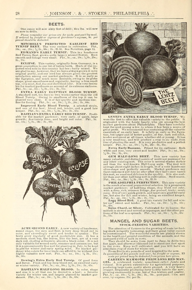 Offenes Buch mit Bildern und Text über Gemüse, einschließlich Rote Beete, auf den Seiten.