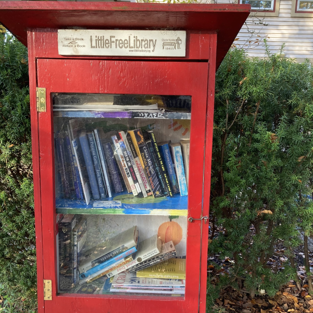Rote kleine Bücherschrank mit Büchern auf Regalen, vor einem Haus umgeben von Pflanzen und Bäumen gestellt.