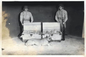 Ein Hund steht in der Mitte des Bildes, mit Kisten dahinter, zwei bewaffnete Personen hinter den Kisten und eine Wand im Hintergrund.