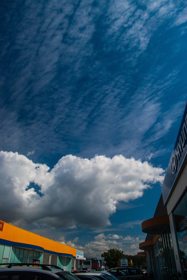 Eine Autohandlung mit mehreren parkenden Autos vorne, umgeben von Gebäuden mit Namensschildern, Bäumen und einem bewölkten Himmel im Hintergrund.