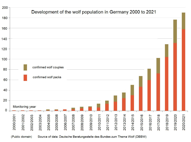 Liniengraphik zur Entwicklung der Wolfspopulation in Deutschland von 2000 bis 2021 mit begleitendem erklärendem Text.