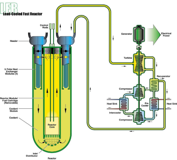 Diagramm eines Blei-gekühlten schnellen Reaktorsystems, das den Reaktor, den Kühlturm, Rohre, Ventile und zugehörige Komponenten zeigt.