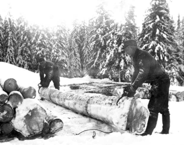 Zwei Männer in Schwarz und Weiß schneiden Holz mit Kettensägen in einem verschneiten Wald.