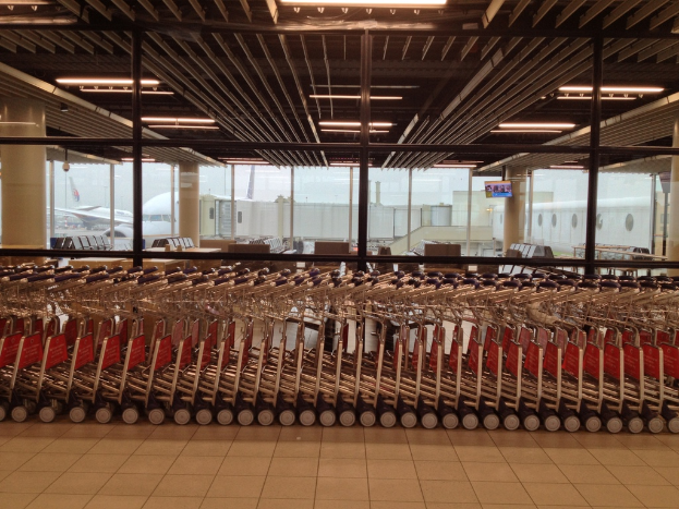 Ein Flughafen-Wartesaal mit Gepäckwagen, Stühlen, einer Glaswand, die ein weißes Flugzeug draußen zeigt, und Deckenleuchten.