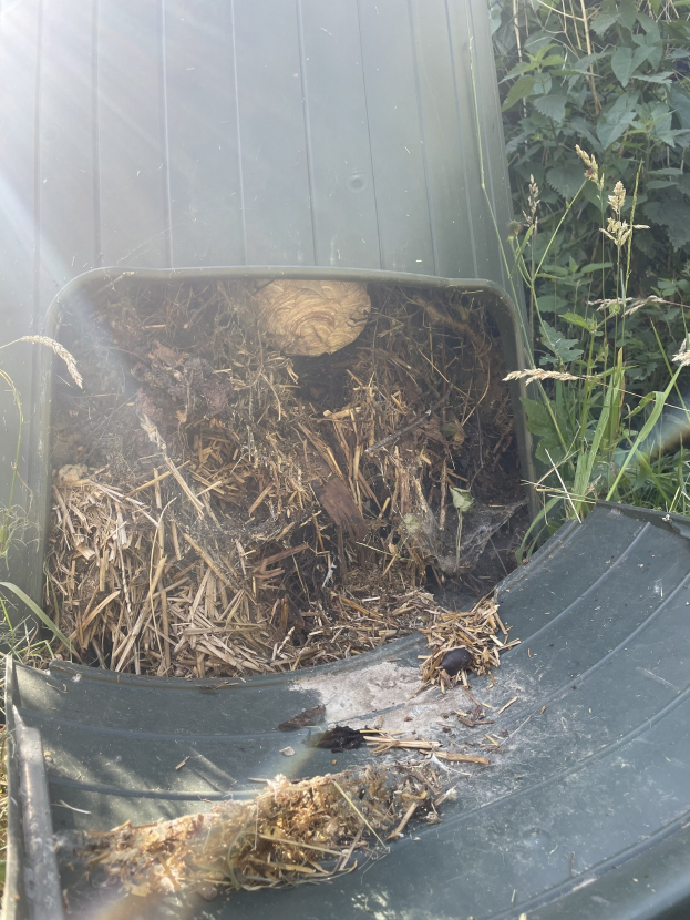 Ein Komposteimer voller Erde und Gras, der auf einem grasbewachsenen Bereich steht und von Pflanzen auf der rechten Seite umgeben ist.