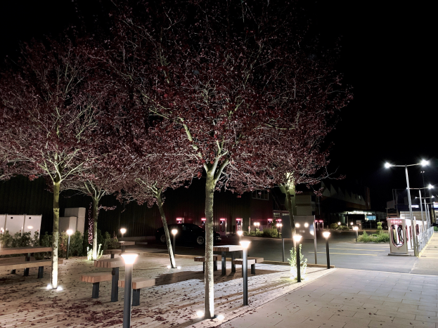 Ein Park bei Nacht mit beleuchteten Bäumen, Bänken, Laternen, Pflanzen, Fahrzeugen, Gebäuden und anderen Gegenständen unter einem dunklen Himmel, der eine friedliche Atmosphäre schafft.