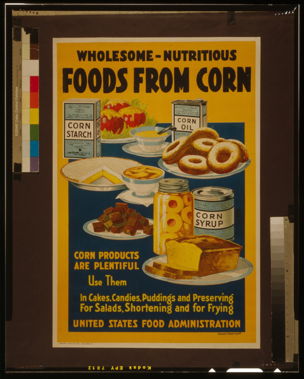 Buntes Plakat aus den USA mit verschiedenen Lebensmitteln wie Obst, Gemüse, Getreide und Milchprodukten und der fetten schwarzen Schrift 'Gesunde-Nährstoffreiche Lebensmittel aus Mais' auf einem hellblauen Hintergrund.