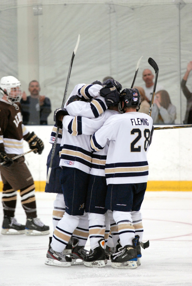 Gruppe von Eishockeyspieler in Sportkleidung und Helmen, die auf einem Eisstadion stehen und Hockeystöcke halten, mit Zuschauern und einem Netz im Hintergrund.