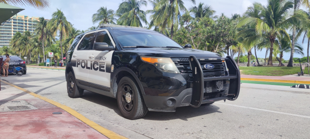 Ein Polizeiwagen steht am Straßenrand mit Menschen, Fahrrädern, Gras, Bäumen, Gebäuden und einem klaren blauen Himmel im Hintergrund.