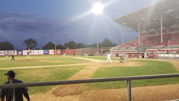 Baseballspiel in einem Stadion mit Zuschauern in den Rängen, Geländer unten, Bäumen, Masten, Lichtern, Werbetafeln und klarem blauen Himmel im Hintergrund.