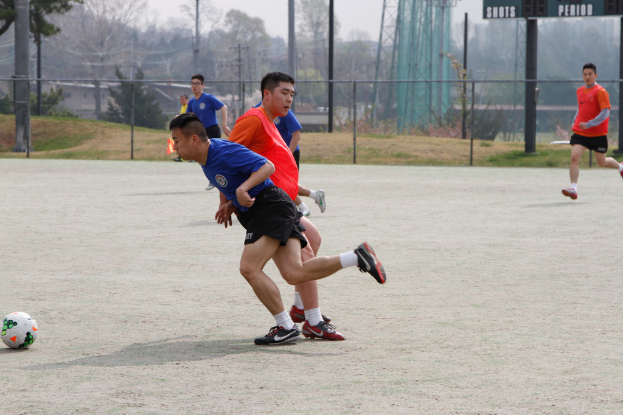 Spieler werden beim Fussballspielen auf einem Feld mit einem Maschendrahtzaun drumherum gezeigt, mit Bäumen, Leitern und Strommasten auf der anderen Seite.